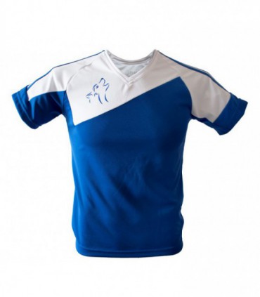 Playera fútbol eurovalle Uniformes Pesa